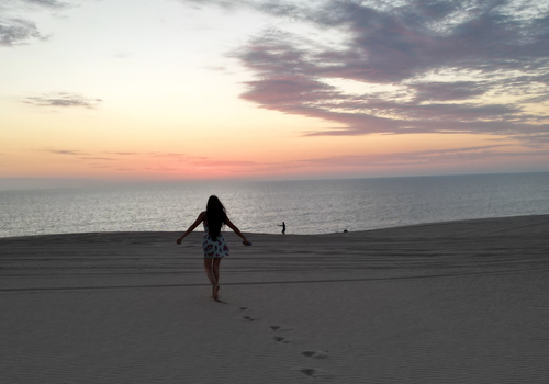 PLAYA EL CARDONAL Y DUNAS DEL SAHUIMARO