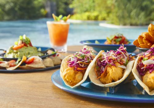 Jungala Aqua Experience