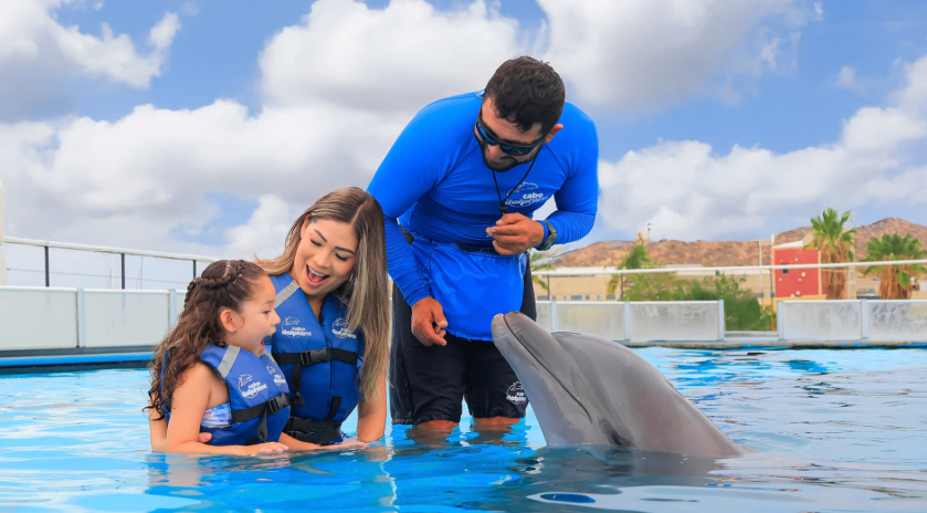 Nado con Delfines