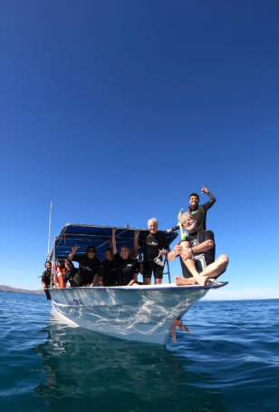 Ocean Safari