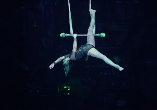 Show Cirque Du Soleil Joya