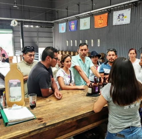 Recorrido Peatonal Centro Histórico QRO.