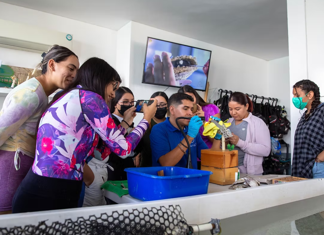 El nacimiento de una perla