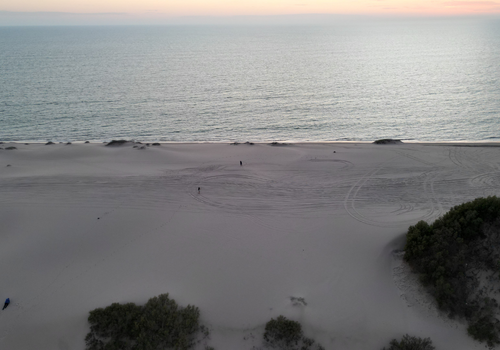 PLAYA EL CARDONAL Y DUNAS DEL SAHUIMARO